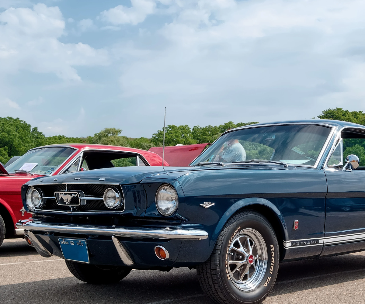 Back view of classic car.